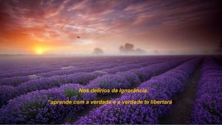 Nos delírios da ignorância:

“aprende com a verdade e a verdade te libertaráá.”
 