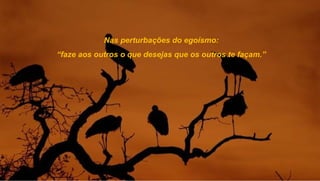 Nas perturbações do egoísmo:
“faze aos outros o que desejas que os outros te façam.”
 