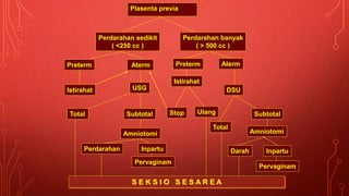 Plasenta previa
Perdarahan sedikit
( <250 cc )
Perdarahan banyak
( > 500 cc )
Preterm Aterm
Istirahat USG
Total Subtotal
Amniotomi
Perdarahan Inpartu
Pervaginam
S E K S I O S E S A R E A
Preterm Aterm
Istirahat
Stop Ulang
DSU
Total
Subtotal
Amniotomi
Darah Inpartu
Pervaginam
 