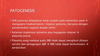 PATOGENESIS
• 90% palsenta didapatkan letak rendah pada kehamilan awal 
mengalami trophotropism/ migrasi palsenta, bersama dengan
pembentukan segmen bawah rahim
• Kelainan implantasi plasenta atau kegagalan migrasi 
plasenta previa
• Plasenta yang melekat pada SBR tidak dapat mengikuti dilatasi
serviks dan peregangan SBR  SBR tidak dapat berkontraksi 
perdarahan
 