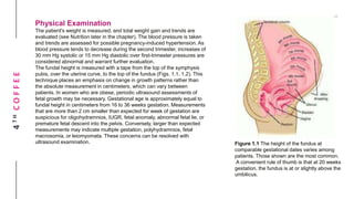 4THCOFFEE
Physical Examination
The patient's weight is measured, and total weight gain and trends are
evaluated (see Nutrition later in the chapter). The blood pressure is taken
and trends are assessed for possible pregnancy-induced hypertension. As
blood pressure tends to decrease during the second trimester, increases of
30 mm Hg systolic or 15 mm Hg diastolic over first-trimester pressures are
considered abnormal and warrant further evaluation.
The fundal height is measured with a tape from the top of the symphysis
pubis, over the uterine curve, to the top of the fundus (Figs. 1.1, 1.2). This
technique places an emphasis on change in growth patterns rather than
the absolute measurement in centimeters, which can vary between
patients. In women who are obese, periodic ultrasound assessments of
fetal growth may be necessary. Gestational age is approximately equal to
fundal height in centimeters from 16 to 36 weeks gestation. Measurements
that are more than 2 cm smaller than expected for week of gestation are
suspicious for oligohydramnios, IUGR, fetal anomaly, abnormal fetal lie, or
premature fetal descent into the pelvis. Conversely, larger than expected
measurements may indicate multiple gestation, polyhydramnios, fetal
macrosomia, or leiomyomata. These concerns can be resolved with
ultrasound examination. Figure 1.1 The height of the fundus at
comparable gestational dates varies among
patients. Those shown are the most common.
A convenient rule of thumb is that at 20 weeks
gestation, the fundus is at or slightly above the
umbilicus.
 