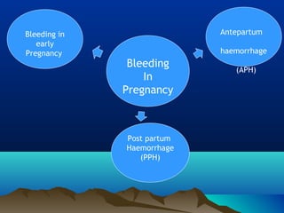 Bleeding
In
Pregnancy
Bleeding in
early
Pregnancy
Antepartum
haemorrhage
(APH)
Post partum
Haemorrhage
(PPH)
 