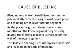 CAUSE OF BLEEDING
• Bleeding results from small disruptions in the
placental attachment during normal development
and thinning of the lower uterine segment
• As the placental growth slows down in later
months and the lower segment progressively
dilates, the inelastic placenta is sheared off the
wall of the lower segment.
• This leads to opening up of uteroplacental vessels
and leads to an episode of bleeding.
 
