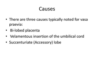 Causes
• There are three causes typically noted for vasa
praevia:
• Bi-lobed placenta
• Velamentous insertion of the umbilical cord
• Succenturiate (Accessory) lobe
 