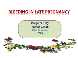 BLEEDING IN LATE PREGNANCY
Prepared By
Samar Zidan Ali
(B. Sc. In nursing)
Prepared by
Samar Zidan
(B. Sc. In nursing)
2020
 