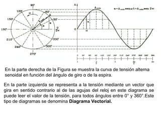 En la parte derecha de la Figura se muestra la curva de tensión alterna
senoidal en función del ángulo de giro α de la espira.

En la parte izquierda se representa a la tensión mediante un vector que
gira en sentido contrario al de las agujas del reloj en este diagrama se
puede leer el valor de la tensión, para todos ángulos entre 0° y 360°.Este
tipo de diagramas se denomina Diagrama Vectorial.
 