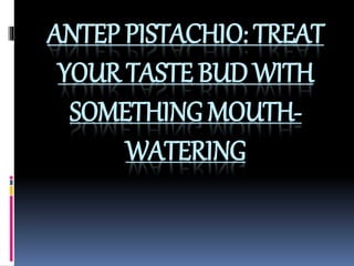 ANTEP PISTACHIO: TREAT
YOUR TASTE BUD WITH
SOMETHING MOUTH-
WATERING
 