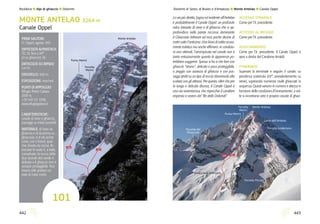 443442
100
101
Monte Antelao
Forcella
Menini
Punta Menini
100 101
Monte AntelaoForcella
Menini
Punta Menini
Ghiacciaio Inferiore
Forcella del
Ghiacciaio
Laste dell’Antelao
Forcella Lindemann
Forcella Piccola
La via più diretta, logica ed evidente all’Antelao
è probabilmente il Canale Oppel: un profondo
solco intasato di neve e di ghiaccio che si ap-
profondisce nella parete rocciosa dominante
il Ghiacciaio Inferiore ed esce poche decine di
metri sotto l’anticima. Una linea di salita sicura-
mente estetica ma anche effimera: in condizio-
ni non ottimali, l’arrampicata nel canale non è
tanto entusiasmante quanto le apparenze po-
trebbero suggerire. Spesso si ha a che fare con
ghiaccio “strano”, delicato e poco proteggibile,
o peggio con assenza di ghiaccio e con pas-
saggi stretti su un tipo di roccia sfavorevole alla
scalata con gli attrezzi. Per questo, oltre che per
la lunga e delicata discesa, il Canale Oppel è
una via avventurosa, che rispecchia il carattere
impervio e severo del “Re delle Dolomiti”.
ACCESSO STRADALE
Come per l’it. precedente.
ACCESSO AL RIFUGIO
Come per l’it. precedente.
AVVICINAMENTO
Come per l’it. precedente. Il Canale Oppel si
apre a destra del Canalone Arnaldi.
ITINERARIO
Superare la terminale e seguire il canale, su
pendenza sostenuta (65°, prevalentemente su
neve), superando numerosi risalti ghiacciati in
sequenza. Questi variano in numero e altezza in
funzione delle condizioni d’innevamento: a vol-
te si incontrano vere e proprie cascate di ghiac-
MONTE ANTELAO 3264 m
Canale Oppel
PRIMI SALITORI:
O. Oppel, agosto 1931.
DIFFICOLTÀ ALPINISTICA:
TD, III, fino a 90°
(4 su ghiaccio), M.
DIFFICOLTÀ SCI RIPIDO:
5.4 E4.
DISLIVELLO: 600 m.
ESPOSIZIONE: nord est.
PUNTI DI APPOGGIO:
Rifugio Pietro Galassi
2018 m,
+39 340 121 4300,
www.rifugiogalassi.it
CARATTERISTICHE:
canale di neve e ghiaccio,
passaggi su misto possibili.
MATERIALE: di base da
ghiaccio e di sicurezza su
ghiacciaio, 6-8 viti anche
corte, nut e friend, qual-
che chiodo da roccia. At-
trezzare le soste è, a tratti,
complicato: la roccia delle
due sponde del canale è
delicata e il ghiaccio non è
sempre proteggibile. Può
essere utile portare un
paio di corpi morti.
101
Rock&Ice l Alpi di ghiaccio l Dolomiti Dolomiti di Sesto, di Braies e d’Ampezzo l Monte Antelao l Canale Oppel
 