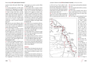 408
Roccia d’Autore l IV grado Dolomiti Orientali 2
409
ca. 100 m di 2°, pp. 3° per la vetta). Si conti-
nua ancora sulla traccia lungo la cengia verso E
(Cima Piccola), oltrepassando un profondo ca-
mino che sale da sotto. Subito dopo, due grandi
ometti indicano di scendere qualche metro rin-
venendo la prima calata su 2S.
CD1. 20 m fino a una cengia che permette di
aggirare verso sx (faccia a valle) un piccolo spe-
rone. La si percorre per pochi metri fino a 1AF.
CD2. 20 m lungo la parete gradinata sottostante
fino a 1AF.
CD3. 20 m arrivando alla forcella fra un torrione
e la parete (1AF).
CD4. 30 m lungo il profondo camino sulla dx
(faccia a valle, direzione O) fino a un terrazzo
alla base del grande camino che sbocca sulla
Cengia Anulare. 1SF.
CD5. 30 m lungo il canale sottostante fino alle
roccette sottostanti.
Si scende per tracce
nei detriti (ometti
sparsi e qualche se-
gno rosso). Un cana-
lino scende sulla dx
di un pulpito arroton-
dato (p. 1°), sotto il
quale si rinviene una
targa ricordo. Si con-
tinua a scendere per
roccette fin sopra un
caminetto più ripido.
Sulla dx 1S permette
di calarsi.
CD6. 20 m fino a 1AF.
CD7. 25 m fino a una
conca detritica.
La Via Normale di
salita passa un’ampia
forcella ghiaiosa sulla
dx. Per scendere più
rapidamente si conti-
nua per alcuni metri fin
sul fondo della conca,
oltrepassando poi uno
stretto intaglio sulla dx.
Sulla dx 1SF.
CD8. 15 m lungo un
spuntone staccato dalla parete. 40 m; 3°, pp.
4°; 1C.
L3. Si continua leggermente a dx dello spigolo
soprastante (2CL) raggiungendo una cengia al
cui limite inferiore si sosta. 30 m; 3°, 4°; 2CF.
L4. Sopra la cengia, pochi metri a dx dello
spigolo, una fessura superficiale (2C alla base,
vecchia sosta) incide la parete soprastante. Si
tiene la direttiva della fessura, salendo un po’
a sx e un po’ a dx di essa. Un ultimo passo
verticale (p. 5°-) conduce a un’altra comoda
cengia dove si sosta su spuntone. 35 m; 4°,
4°+, p. 5°-.
NB: questo tiro può essere effettuato sulla dx
per rocce più facili. Traversando lungamente a
dx per cenge e roccette, si può raggiungere la
grande cengia della Via Normale.
L5. Si scala in obliquo a sx lungo la verticale
parete gialla soprastante (2C) portandosi sul
filo dello spigolo (2C). Si passa ora poco a sx
di esso su parete esposta (1C) superando, poco
oltre il chiodo, un passo molto impegnativo e su
roccia insicura (p. 6°-) raggiungendo più in alto
un minuscolo terrazzino con esposizione verti-
ginosa dove si sosta. 25 m; 5°, pp. 5°+ e 6°-,
tiro sostenuto; 5C, 3CF.
L6. Si ripassa a dx lo spigolo, transitando accan-
to a una nicchia gialla. Si riprende a salire in
verticale subito a dx di essa, sempre poco di-
scosti dal profilo dello spigolo su terreno espo-
sto e ripido, raggiungendo un terrazzino (1C).
Dopo un’altra paretina verticale si è a un altro
terrazzino quasi sullo spigolo (1C) dove inizia
una fessura-camino obliqua a dx (a sx corre la
Via Dülfer). La si scala su terreno che via via si
abbatte (lasciare a sx la spaccatura che stacca
dalla parete lo sperone su cui sale la fessura)
fino a raggiungere, in cima alla stessa, una co-
moda cengia su cui si sosta su spuntoni. 45 m;
5°-, poi 4°, p. 4°+; 2C.
L7. Si va qualche metro a sx lungo la crestina
della lama-sperone staccato dalla parete vera e
propria. Con un movimento molto difficile ed
esposto (p. 6°) si aggancia un cordino (p. A0,
verificarne la tenuta!) che pende da 2C appaia-
ti sopra un tettino. Un altro passo duro (p. 6°)
permette di rinviare un secondo lungo cordone
che pende da 1C molto più in alto. Si traversa
a sx su una lista esposta ma meno difficile fino
a un terrazzino vertiginoso sullo spigolo. 10 m;
6° e A0; 3C, 2CF.
L8. Si monta a sx su uno spuntoncino dello spi-
golo per poi continuare un po’ in obliquo a dx
per rocce più appoggiate fin quasi al limite infe-
riore dell’ampia cengia dove esce da sx anche il
Diedro Dülfer. L’uscita dalla parete è in comune
con questa via. 15 m; 4°+; 2CF.
L9. Si sale qualche metro e si percorre la cengia
verso dx fin sotto una profonda fessura-diedro
dove si sosta. 25 m; 1°; 1CF.
L10. Superare la fessura (1C) fino a uscire su
roccia a tratti malsicura sulla dx (1C) a una zona
di rocce facili. 40 m; 4°+, poi 3°; 3C, 1CLF.
L11. Salire il canale sul fondo o, meglio, lungo le
rocce a sx fino a uscire sulla Cengia Anulare che
cinge la parte finale della Cima Grande (ometto;
sosta su massi). 40 m; 2°.
DISCESA
Avviene lungo la Via Normale (vedi anche Vol.
1, it. 76), con varie CD e tratti di facile arram-
picata. Discesa non difficile ma lunga e un po’
complessa.
Si percorre verso dx il sentierino sull’ampia Cen-
gia Anulare (muretti da bivacco), lasciando a sx
la rampa che conduce alla vetta (segno rosso,
20 m
20 m
20 m
30 m
30 m
20 m
25 m
15 m
25 m
30 m
20 m
I
I
III
II
II
II
camino
viscido
p a r e t e n e r a
forcella
canalone
iniziale
conca
ghiaiosa
(facile)
targhe
commemorative
c e n g i a
rampa
salita in
vetta
a n u l a r e
via normale
Lavaredo e Dolomiti di Sesto l Cima Grande di Lavaredo, Via Mazzorana-Milani
 