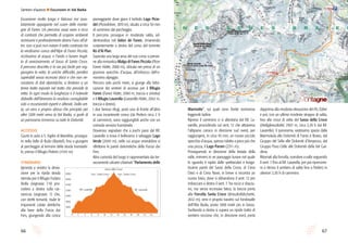 6766
Sentieri d’autore l Escursioni in Val Badia
Marmotte”, sui quali sono fiorite numerose
leggende ladine.
Ripreso il cammino ci si allontana dal Rif. La-
varella, procedendo sul sent. 12 che attraversa
l’altipiano carsico in direzione sud ovest, per
raggiungere, in circa 45 min, un nuovo piccolo
specchio d’acqua, spesso ridotto a poco più che
una pozza, il Lago Parom (2311 m).
Proseguendo in direzione della testata della
valle, immersi in un paesaggio lunare nel quale
lo sguardo è rapito dalle spettacolari e leviga-
tissime pareti del Sasso della Croce, di Cima
Dieci e di Cima Nove, in breve si incontra un
nuovo bivio, dove si abbandona il sent. 12 per
imboccare a destra il sent. 7. Tra rocce e sfasciu-
mi, ma senza eccessiva fatica, la traccia porta
alla Forcella Santa Croce (Kreuzkofelscharte,
2612 m), vero e proprio baratro sul fondovalle
dell’Alta Badia, posto 1000 metri più in basso.
Svoltando a destra si supera un ripido tratto di
sentiero roccioso che, in direzione nord, porta
dapprima alla modesta elevazione del Piz Züber
e poi, con un ultimo modesto strappo di salita,
fino alla croce di vetta del Sasso della Croce
(Heiligkreuzkofel, 2907 m, circa 3,30 h dal Rif.
Lavarella). Il panorama, vastissimo spazia dalla
Marmolada alle Dolomiti di Fanes e Braies, dal
Gruppo del Sella alle Dolomiti d’Ampezzo, dal
Gruppo Puez-Odle alle Dolomiti della Val Gar-
dena.
Ritornati alla forcella, scendere a valle seguendo
il sent. 7 fino al Rif. Lavarella, per poi ripercorre-
re a ritroso il sentiero di salita fino a Pederü in
ulteriori 3,30 h di cammino.
Escursione molto lunga e faticosa ma asso-
lutamente appagante nel cuore delle monta-
gne di Fanes. Un percorso assai vario e ricco
di contrasti che permette di scoprire ambienti
vicinissimi e profondamente diversi l’uno all’al-
tro: non si può non notare il netto contrasto tra
la verdissima conca dell’Alpe di Fanes Piccola,
ricchissima di acqua, e l’arido e lunare tragit-
to di avvicinamento al Sasso di Santa Croce.
Il percorso descritto è la via più facile per rag-
giungere la vetta: le uniche difficoltà, peraltro
superabili senza eccessivi sforzi e che non ne-
cessitano di doti alpinistiche, si limitano a un
breve tratto esposto nel tratto che precede la
vetta. In ogni modo la lunghezza e il notevole
dislivello dell’itinerario lo rendono consigliabile
solo a escursionisti esperti e allenati. Dalla vet-
ta, un vero e proprio abisso che precipita per
oltre 1200 metri verso la Val Badia, si gode di
un panorama immenso su tutte le Dolomiti.
ACCESSO
Giunti in auto a S. Vigilio di Marebbe, prosegui-
re nella Valle di Rudo (Rautal), fino a giungere
al parcheggio al termine della strada transitabi-
le, presso il Rifugio Pederü (1545 m).
itinerario
Ignorata a sinistra la devia-
zione per la ripida strada
sterrata per il Rifugio Fodara
Vedla (segnavia 7-9) pro-
cedere a destra sulla car-
rareccia (segnavia 7) che,
con stretti tornanti, risale le
imponenti colate detritiche
alla base della Furcia dai
Fers, giungendo alla conca
pianeggiante dove giace il torbido Lago Picio-
del (Piciodelsee, 1819 m), situato a circa 50 min
di cammino dal parcheggio.
Il percorso prosegue in moderata salita, ad-
dentrandosi nel Valùn de Fanes, rimanendo
costantemente a destra del corso del torrente
Rü d’Al Plan.
Superata una larga ansa del suo corso si pervie-
ne alla romantica Malga di Fanes Piccola (Pices
Fanes Hütte, 2000 m), ubicata nei pressi di un
grazioso specchio d’acqua, all’imbocco dell’o-
monimo alpeggio.
Percorsi solo pochi metri, si giunge alla bifor-
cazione dei sentieri di accesso per il Rifugio
Fanes (Fanes Hütte, 2060 m, traccia a sinistra)
e il Rifugio Lavarella (Lavarella Hütte, 2042 m,
traccia a destra).
I due famosi rifugi, posti uno di fronte all’altro
in una incantevole conca (da Pederü circa 2 h
di cammino), sono raggiungibili anche con un
comodo servizio fuoristrada.
Doveroso segnalare che a pochi passi dal Rif.
Lavarella si trova il bellissimo e selvaggio Lago
Verde (2045 m), nelle cui acque smeraldine si
riflettono le pareti dolomitiche della Furcia dai
Fers.
Altra curiosità del luogo è rappresentata dai ter-
razzamenti calcarei chiamati “Parlamento delle
1600
1800
2000
2200
2400
2600
2800
0 2 4 6 8 10 12 14 16 18 20 22 24
Rif. Lavarella
Forc. Santa Croce Forc. Santa Croce
Rif. Lavarella
Sasso della Croce
 