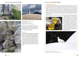 183182
Sentieri d’autore l Escursioni in Val di Zoldo Mezzodì-Prampèr l Belvedere di Mezzodì
Il Giaròn de la Fòpa
Sugli Spiz de Mezzodì-Prampèr è ubicato il ghiaione “più lungo” delle Dolomiti, un profondo
solco riempito di ghiaie che si sviluppa per oltre 1000 m di dislivello, scendendo dalla Forc.
Sagrona o del Coro (2118 m), incisa fra la Cima del Venier (2237 m) e la Cima del Coro
(2324 m). Come le altre colate detritiche, anche il Giaròn de la Fòpa, è il risultato della
naturale disgregazione delle rocce e dell’accumulo gravitazionale alla base delle pareti.
Queste strutture sono piuttosto instabili e nel caso di forti temporali può succedere che
le ghiaie scivolino a valle, talvolta con risultati anche disastrosi. Proprio questi sassi, nel
1966, hanno alimentato il trasporto solido del Torrente Prampèr, devastando l’abitato di
Forno di Zoldo.
I ghiaioni sembrano ambienti ostili, eppure ospitano molte forme di vita, piante e animali
in grado di adattarsi a un ambiente così
mutevole ed estremo. Fra gli anima-
li non è difficile osservare il fringuello
alpino (Montifringilla nivalis), il sordone
(Prunella collaris), il codirosso spazza-
camino (Phoenicurus ochruros) e il cul-
bianco (Oenanthe oenanthe). Ben più
rara è l’osservazione della pernice bian-
ca (Lagopus muta) e della salamandra
nera (Salamandra atra). Anche a livello
botanico non mancano le sorprese, ma
un fiore piuttosto comune da osservare
in questi ambienti è il papavero retico
(Papaver rhaeticum).
Sopra: papavero retico (Papaver alpinum)
Sotto: pernice bianca (Lagopus muta, foto Dario Bacchin)
mente il bivio e quindi il rifugio (40 min). Per la
discesa seguire il sent. 354 (via diretta più sem-
plice al Rif. Sora ‘l Sass, vedi it. precedente) e in
1,20 h fare ritorno a Castelàz.
varianti
Il Belvedere di Mezzodì può essere raggiunto
anche in maniera più semplice, evitando com-
pletamente i tratti attrezzati. Raggiungere il Rif.
Sora ‘l Sass per sent. 354 (vedi it. precedente,
1,30 h). Da qui risalire al Belvedere per la ri-
pida “variante” (descritta sopra per la discesa,
50 min) che al bivio sopra il rifugio porta verso
sinistra. Discesa fino al rifugio 40 min, fino a
Castelàz 2 h. In questo caso tempo totale circa
3,30 h.
Sopra a sinistra: passaggio su cengetta
dopo il Giaròn dantre i Spiz
Sopra a destra: in vetta al Belvedere
Sotto: il canalino da salire prima del Belvedere
 