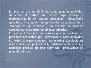 La piscicultura es definida como aquella actividad
dedicada al cultivo de peces bajo manejo e
implementación de buenas practicas (desarrollo
genético, incubación, alimentación, reproducción y
sanidad de las especies), ha crecido de manera
considerable durante las ultimas décadas.
La pesca Artesanal es aquella que se realiza por
personas naturales que incorporan a esta actividad
su trabajo, o por cooperativas u otras asociaciones
integradas por pescadores, utilizando sistemas y
aparejos propios de una actividad productiva de
pequeña escala.
 