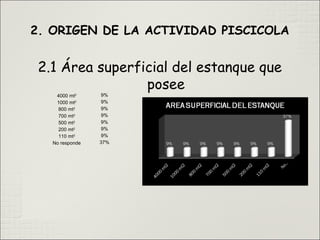 4000 mt2 9%
1000 mt2 9%
800 mt2 9%
700 mt2 9%
500 mt2 9%
200 mt2 9%
110 mt2 9%
No responde 37%
2. ORIGEN DE LA ACTIVIDAD PISCICOLA
2.1 Área superficial del estanque que
posee
 