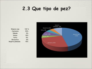 Mojarra roja 100 %
Cachama 55%
Sábalo 9%
Karpa 18%
Yamu 9%
Bocachico 9%
Mojarra plateada 18%
 