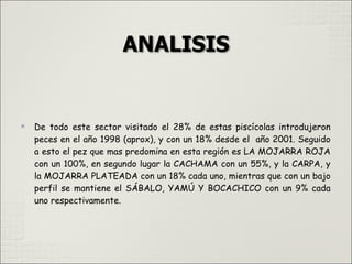 
De todo este sector visitado el 28% de estas piscícolas introdujeron
peces en el año 1998 (aprox), y con un 18% desde el año 2001. Seguido
a esto el pez que mas predomina en esta región es LA MOJARRA ROJA
con un 100%, en segundo lugar la CACHAMA con un 55%, y la CARPA, y
la MOJARRA PLATEADA con un 18% cada uno, mientras que con un bajo
perfil se mantiene el SÁBALO, YAMÚ Y BOCACHICO con un 9% cada
uno respectivamente.
 