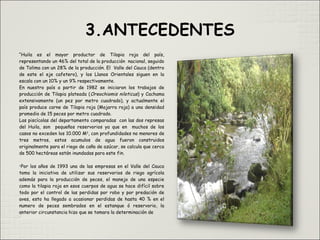“Huila es el mayor productor de Tilapia roja del país,
representando un 46% del total de la producción nacional, seguido
de Tolima con un 28% de la producción. El Valle del Cauca (dentro
de este el eje cafetero), y los Llanos Orientales siguen en la
escala con un 10% y un 9% respectivamente.
En nuestro país a partir de 1982 se iniciaron los trabajos de
producción de Tilapia plateada (Oreochiomis niloticus) y Cachama
extensivamente (un pez por metro cuadrado), y actualmente el
país produce carne de Tilapia roja (Mojarra roja) a una densidad
promedio de 15 peces por metro cuadrado.
Las piscícolas del departamento comparadas con las dos represas
del Huila, son pequeños reservorios ya que en muchos de los
casos no exceden los 10.000 M2
, con profundidades no menores de
tres metros, estos acumulos de agua fueron construidos
originalmente para el riego de caña de azúcar, se calcula que cerca
de 500 hectáreas están inundadas para este fin.

Por los años de 1993 una de las empresas en el Valle del Cauca
tomo la iniciativa de utilizar sus reservorios de riego agrícola
además para la producción de peces, el manejo de una especie
como la tilapia roja en esos cuerpos de agua se hace difícil sobre
todo por el control de las perdidas por robo y por predación de
aves, esto ha llegado a ocasionar perdidas de hasta 40 % en el
numero de peces sembrados en el estanque ó reservorio, la
anterior circunstancia hizo que se tomara la determinación de
 