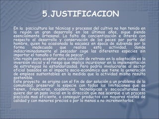 5.JUSTIFICACION
En la piscicultura las técnicas y procesos del cultivo no han tenido en
la región un gran desarrollo en los últimos años, sigue siendo
esencialmente artesanal. La falta de concientización e interés con
respecto al desarrollo y conservación de los peces por parte del
hombre, quien ha ocasionado la escasez en época de subienda por la
forma inadecuada que realiza esta actividad, donde
indiscriminadamente el pescador coge las diferentes especies sin
importar el tamaño o forma de pescar.
Una razón para aceptar esta condición de retraso en la adaptación es la
inversión inicial y el riesgo que implica incursionar en la implementación
de estrategias no estandarizadas. Pero podría involucrarse al sector
oficial basados en el impacto socio-económico que tiene la generación
de empleos sustentables en la medida que la actividad misma resulta
sostenible.
Este proyecto se origino con el fin de dar solución a un problema de la
comunidad, preservar la especie con todas las limitaciones que se
tienen, financieras, académicas, tecnológicas y socioculturales se
quiere dar un paso inicial en la dirección que nos acerque a un proceso
piscícola mas eficiente, a conseguir productos con mayores niveles de
calidad y con menores precios o por lo menos a no incrementarlos.
 