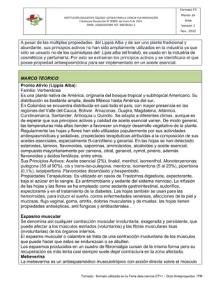 INSTITUCIÓN EDUCATIVA COLEGIO LOYOLA PARA LA CIENCIA YLA INNOVACIÓN 
Creada por Resolución N° 00003 de Enero 5 de 2010. 
DANE: 105001025984 NIT: 900339251-3 
Formato F3 
Planes de 
área 
Versión 2 
Nov. 2012 
A pesar de las múltiples propiedades del Lippia Alba y de ser una planta tradicional y 
abundante, sus principios activos no han sido ampliamente utilizados en la industria ya que 
sòlo se uesado no de los quimiotipos del Lipia alba (el linalol), es usado en la industria de 
cosméticos y perfumería;.Por esto se extraeran los principios activos y se identificara el que 
posee propiedad antiespasmódica para ser implementado en un aceite esencial. 
MARCO TEORICO 
Pronto Alivio (Lippia Alba): 
Familia: Verbenácea 
Es una planta nativa de América, originaria del bosque tropical y subtropical Americano. Su 
distribución es bastante amplia, desde México hasta América del sur. 
En Colombia se encuentra distribuida en casi todo el país, con mayor presencia en las 
regiones del Valle del Cauca, Bolívar, Amazonas, Guajira, Magdalena, Atlántico, 
Cundinamarca, Santander, Antioquia u Quindío. Se adapta a diferentes climas, aunque es 
de esperar que sus principios activos y calidad de aceite esencial varíen. De modo general, 
las temperaturas más altas tienden a favorecer un mayor desarrollo vegetativo de la planta. 
Regularmente las hojas y flores han sido utilizadas popularmente por sus actividades 
antiespasmódicas y sedativas, propiedades terapéuticas atribuidas a la composición de sus 
aceites esenciales, especialmente B-cariofileno y geranial. En las hojas se han detectado 
esteroides, taninos, flavonoides, saponinas, aminoácidos, alcaloides y aceite esencial, 
compuesto mayoritariamente por carvona, citral, geraniol, cymol, pineno, además 
flavonoides y ácidos fenólicos, entre otros. 
Sus Principios Activos: Aceite esencial (2%), linalol, menthol, isomenthol, Monoterpenonas: 
pulegona (55 al 90%), cis y trans-iso-pulegona, mentona, isomentona (5 al 20%), piperitona 
(0,1%), isopiperitona .Flavonoides diosmósido y hesperósido. 
Propiedades Terapéuticas: Es utilizado en casos de Trastornos digestivos, expectorante, 
baja el azúcar en la sangre. Es antimicrobiano y sedante del sistema nervioso. La infusión 
de las hojas y las flores se ha empleado como sedante gastrointestinal, sudorífico, 
expectorante y en el tratamiento de la diabetes. Las hojas también se usan para las 
hemorroides, para inducir el sueño, contra enfermedades venéreas, afecciones de la piel y 
mucosas, flujo vaginal, goma, artritis, dolores musculares y de muelas; las hojas tienen 
propiedades antisépticas, anti fúngicas y antibacteriales . 
Espasmo muscular 
Se denomina así cualquier contracción muscular involuntaria, exagerada y persistente, que 
puede afectar a los músculos estriados (voluntarios) y las fibras musculares lisas 
(involuntarias) de los órganos internos. 
El espasmo muscular o calambre se trata de una contracción involuntaria de los músculos 
que puede hacer que estos se endurezcan o se abulten. 
Los espasmos producidos en un cuadro de fibromialgia cursan de la misma forma pero su 
recuperación es más lenta casi siempre suele dejar contractura en la zona afectada. 
Mebeverina 
La mebeverina es un antiespasmódico musculotrópico con acción directa sobre el músculo 
Tomado: formato utilizado en la Feria dela ciencia CT+I – Dcto Anteproyectos ITM 
 