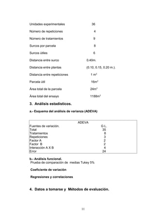 Unidades experimentales 36
Número de repeticiones 4
Número de tratamientos 9
Surcos por parcela 8
Surcos útiles 6
Distancia entre surco 0.40m.
Distancia entre plantas (0.10, 0.15, 0.20 m.).
Distancia entre repeticiones 1 m2.
Parcela útil 16m2
Área total de la parcela 24m2
Área total del ensayo 1188m2
3. Análisis estadísticos.
a.- Esquema del análisis de varianza (ADEVA)
ADEVA
Fuentes de variación. G L.
Total 35
Tratamientos 8
Repeticiones 3
Factor A 2
Factor B 2
Interacción A X B 4
Error 24
b.- Análisis funcional.
Prueba de comparación de medias Tukey 5%
Coeficiente de variación
Regresiones y correlaciones
4. Datos a tomarse y Métodos de evaluación.
11
 