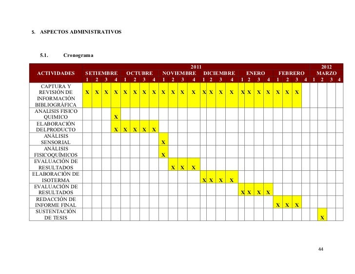 Cronograma De Actividades Para Un Proyecto Ejemplos De