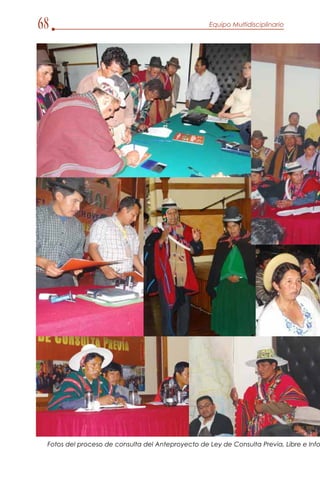 Anteproyecto ley de consulta