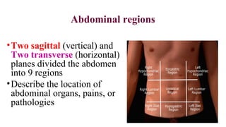 Abdominal regions
•Two sagittal (vertical) and
Two transverse (horizontal)
planes divided the abdomen
into 9 regions
•Describe the location of
abdominal organs, pains, or
pathologies
 