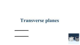 Transverse planes
 