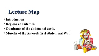 • Introduction
• Regions of abdomen
• Quadrants of the abdominal cavity
• Muscles of the Anterolateral Abdominal Wall
Lecture MapLecture Map
 