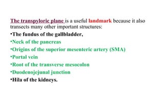 The transpyloric plane is a useful landmark because it also
transects many other important structures:
•The fundus of the gallbladder,
•Neck of the pancreas
•Origins of the superior mesenteric artery (SMA)
•Portal vein
•Root of the transverse mesocolon
•Duodenojejunal junction
•Hila of the kidneys.
 