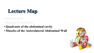 • Introduction
• Regions of abdomen
• Quadrants of the abdominal cavity
• Muscles of the Anterolateral Abdominal Wall
Lecture MapLecture Map
 