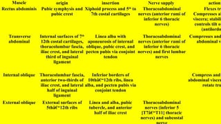 Muscle origin insertion Nerve supply action
Rectus abdominis Pubic symphysis and
pubic crest
Xiphoid process and 5th
to
7th costal cartilages
Thoracoabdominal
nerves (anterior rami of
inferior 6 thoracic
nerves)
Flexes tru
Compresses ab
viscera; stabili
controls tilt of
(antilordo
Transverse
abdominal
Internal surfaces of 7th
12th costal cartilages,
thoracolumbar fascia,
iliac crest, and lateral
third of inguinal
ligament
Linea alba with
aponeurosis of internal
oblique, pubic crest, and
pecten pubis via conjoint
tendon
Thoracoabdominal
nerves (anterior rami of
inferior 6 thoracic
nerves) and first lumbar
nerves
Compresses and
abdominal v
Internal oblique Thoracolumbar fascia,
anterior two-thirds of
iliac crest, and lateral
half of inguinal
ligament
Inferior borders of
10thâ€“12th ribs, linea
alba, and pecten pubis via
conjoint tendon
Compress and
abdominal viscer
rotate tru
External oblique External surfaces of
5thâ€“12th ribs
Linea and alba, pubic
tubercle, and anterior
half of iliac crest
Thoracoabdominal
nerves (inferior 5
[T7â€“T11] thoracic
nerves) and subcostal
 