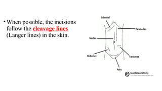 • When possible, the incisions
follow the cleavage lines
(Langer lines) in the skin.
 