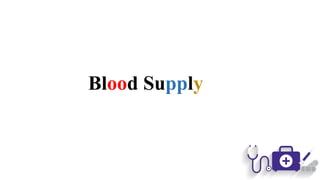 Blood Supply
 