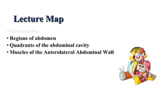 • Introduction
• Regions of abdomen
• Quadrants of the abdominal cavity
• Muscles of the Anterolateral Abdominal Wall
Lecture MapLecture Map
 