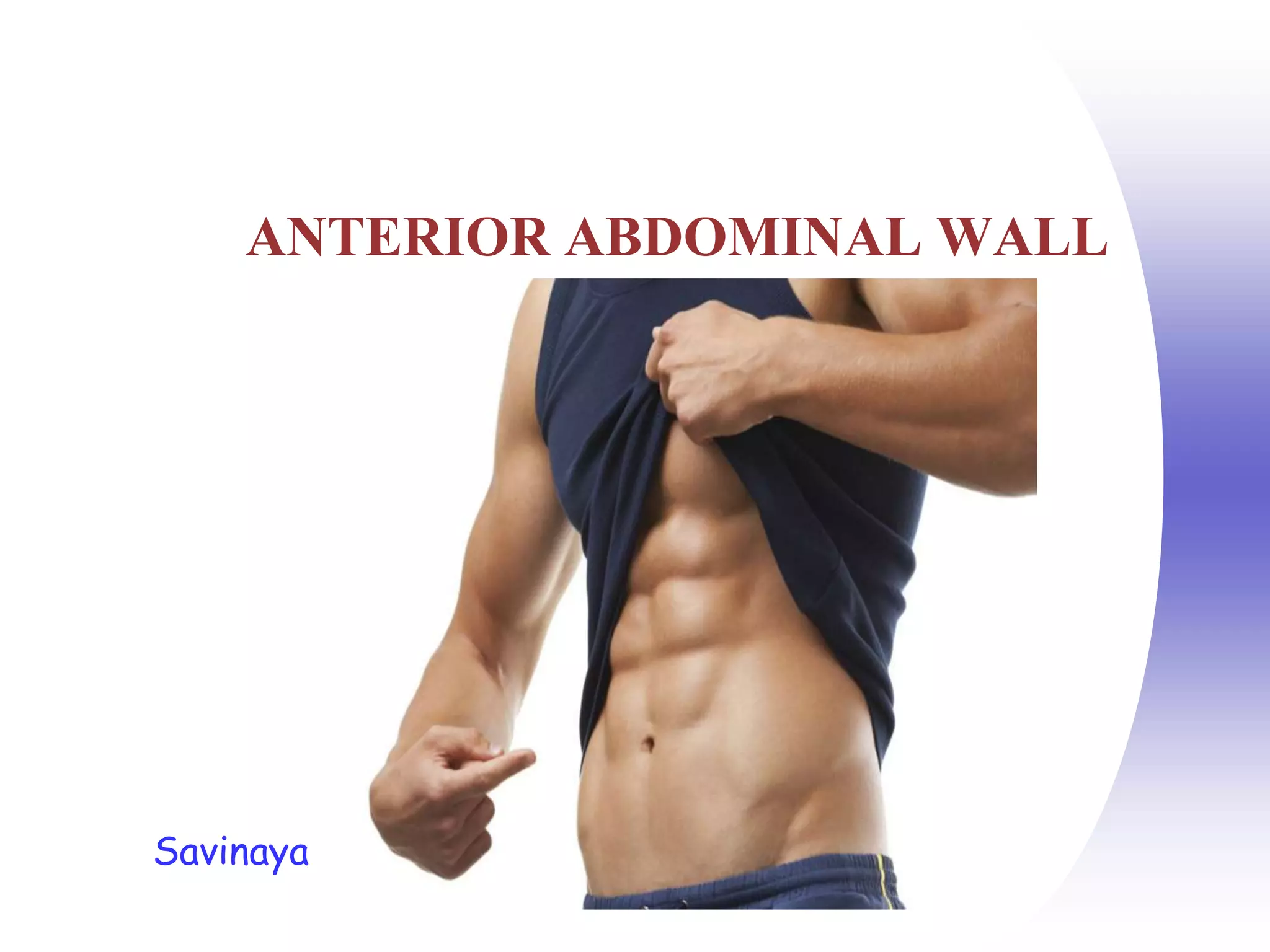 Ppt Anterior Abdominal Wall Powerpoint Presentation