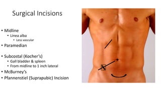 anterior abdominal wall.pptx