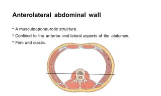 A brief review of Anterior Abdominal Wall.pptx