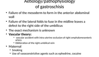 Aetiology/pathophysiology
of gastroschisis
• Failure of the mesoderm to form in the anterior abdominal
wall
• Failure of the lateral folds to fuse in the midline leaves a
defect to the right side of the umbilicus
• The exact mechanism is unknown
• Vascular theory:
• vascular accident with intra uterine occlusion of right omphalomesenteric
artery
• Obliteration of the right umbilical vein
• Maternal
• Smoking
• Use of vasoconstrictive agents such as ephedrine, cocaine
 