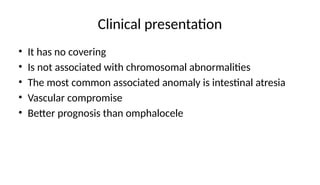 Clinical presentation
• It has no covering
• Is not associated with chromosomal abnormalities
• The most common associated anomaly is intestinal atresia
• Vascular compromise
• Better prognosis than omphalocele
 