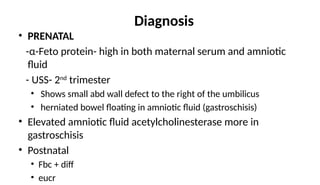 Diagnosis
• PRENATAL
-α-Feto protein- high in both maternal serum and amniotic
fluid
- USS- 2nd
trimester
• Shows small abd wall defect to the right of the umbilicus
• herniated bowel floating in amniotic fluid (gastroschisis)
• Elevated amniotic fluid acetylcholinesterase more in
gastroschisis
• Postnatal
• Fbc + diff
• eucr
 