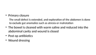 • Primary closure
The small defect is extended, and exploration of the abdomen is done
to exclude gut anomalies such as atresia or malrotation
• The bowel is cleaned with warm saline and reduced into the
abdominal cavity and wound is closed
• Post op antibiotics
• Wound dressing
 
