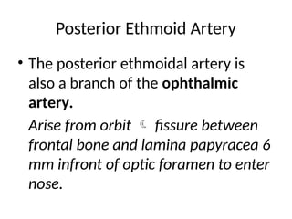 ANTERIOR AND POSTERIOR ETHMOID ARTERIES.pptx