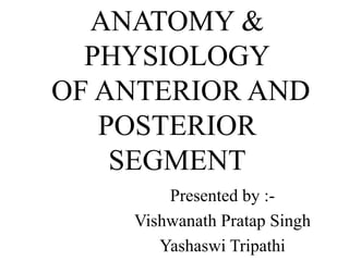 ANATOMY &
PHYSIOLOGY
OF ANTERIOR AND
POSTERIOR
SEGMENT
Presented by :-
Vishwanath Pratap Singh
Yashaswi Tripathi
 