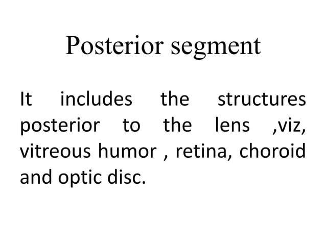 Anterior and posterior segment of eye | PPTX | Eye and Vision ...