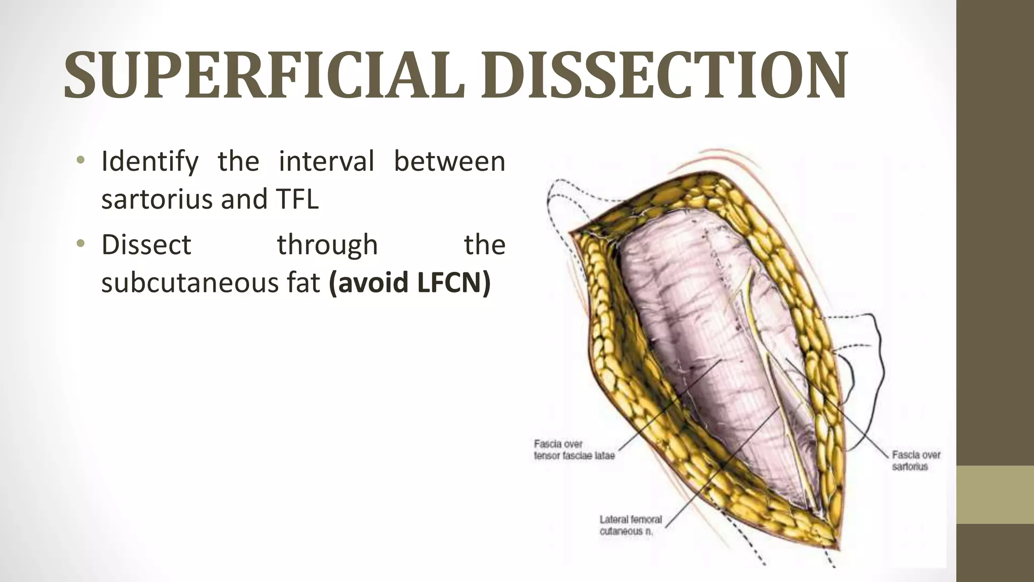 Anterior approach to the hip - Dr. Sachin M | PPTX