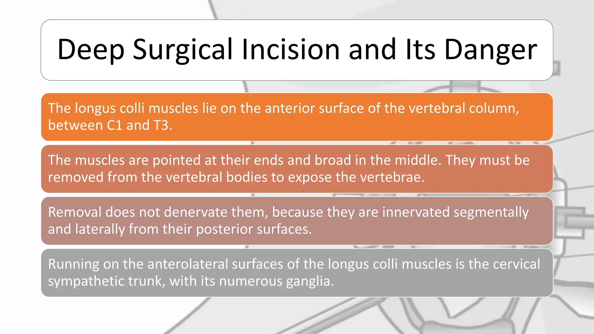 Anterior Cervical Fusion Approach Fusion.pptx