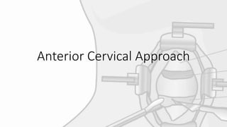 Anterior Cervical Approach
 