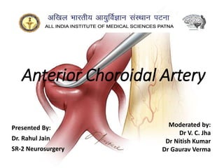 Anterior Choroidal Artery
Presented By:
Dr. Rahul Jain
SR-2 Neurosurgery
Moderated by:
Dr V. C. Jha
Dr Nitish Kumar
Dr Gaurav Verma
 