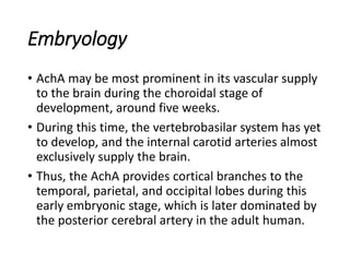 Embryology
• AchA may be most prominent in its vascular supply
to the brain during the choroidal stage of
development, around five weeks.
• During this time, the vertebrobasilar system has yet
to develop, and the internal carotid arteries almost
exclusively supply the brain.
• Thus, the AchA provides cortical branches to the
temporal, parietal, and occipital lobes during this
early embryonic stage, which is later dominated by
the posterior cerebral artery in the adult human.
 