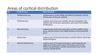 Comprehensive Overview of Anterior Circulation Cerebrovascular Anatomy ...